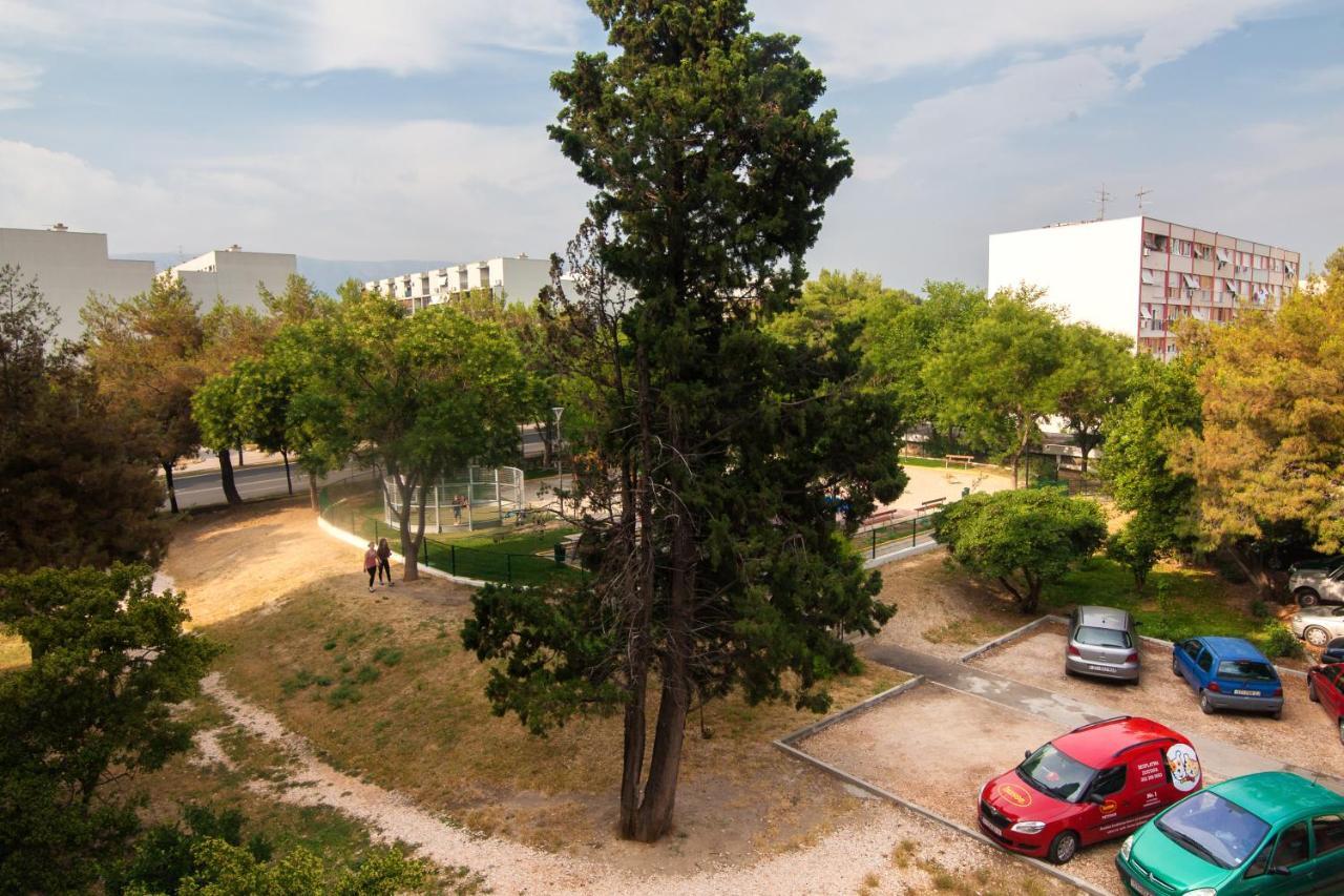 Apartmán Zoi *